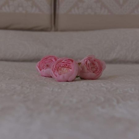 B&B Peonia 오르고솔로 외부 사진